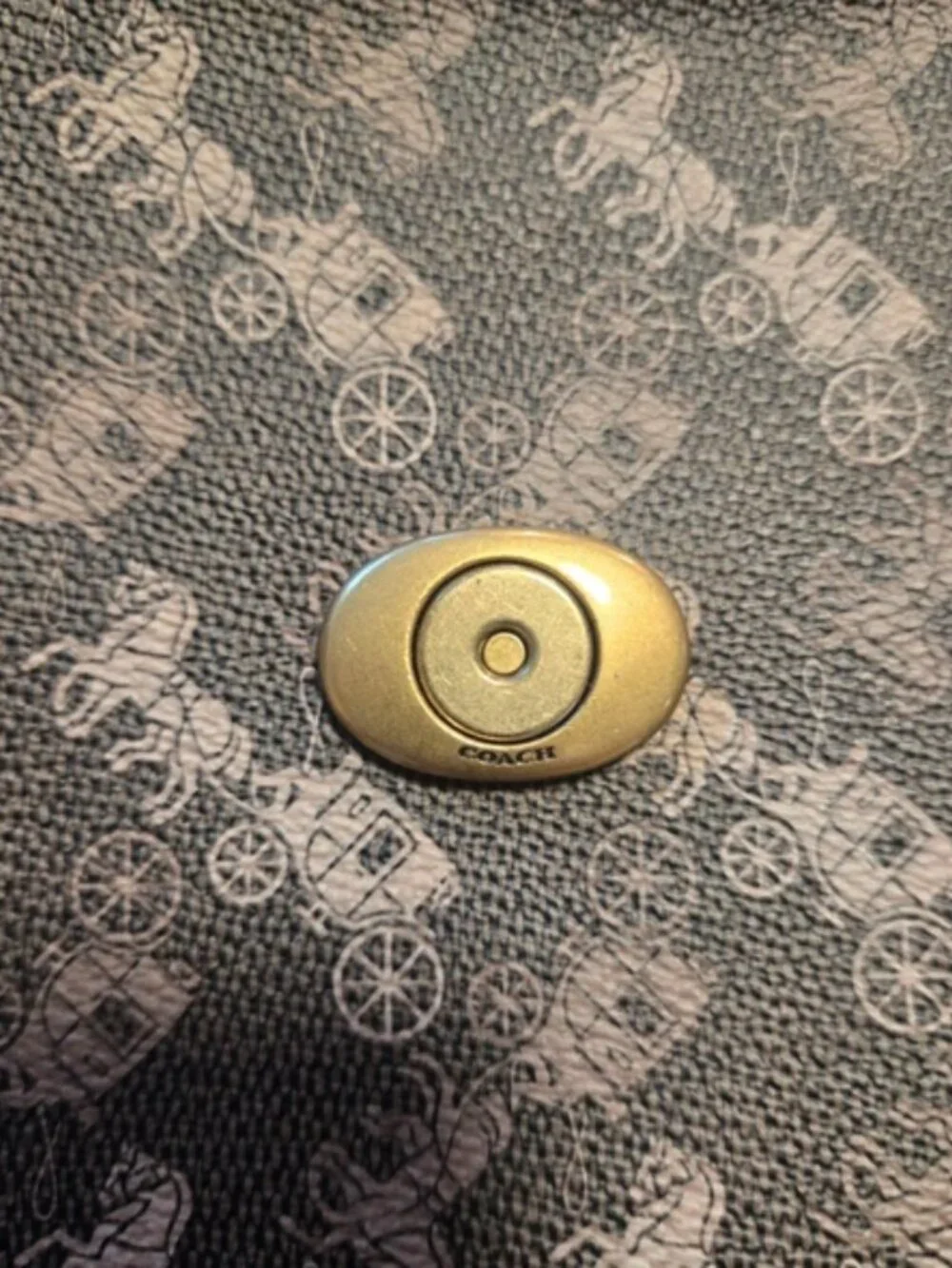Coach Kat Saddle Bag